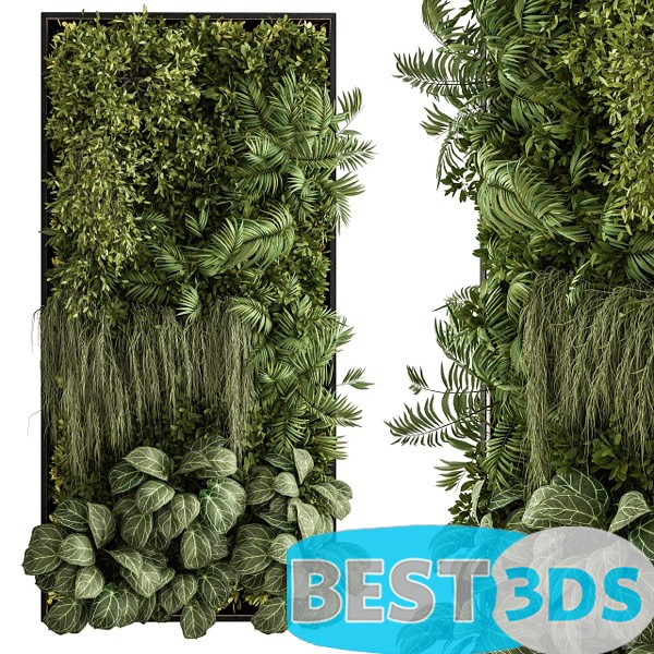 Pack model 3D- Végétations Murale – Image 72