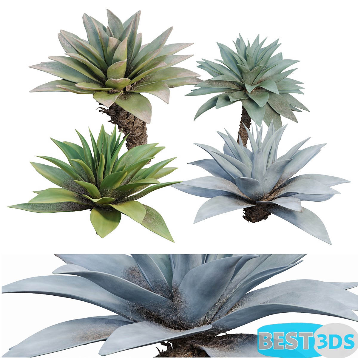 Pack model 3D- Buisson – Image 2