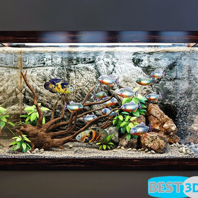 Modèle 3D de Aquarium for interior