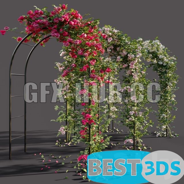 Modèle 3D de Arch with roses