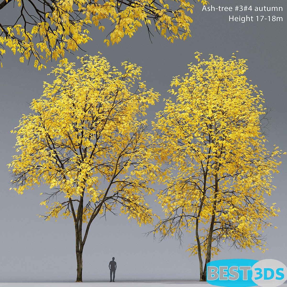 Pack model 3D-Arbres – Image 58