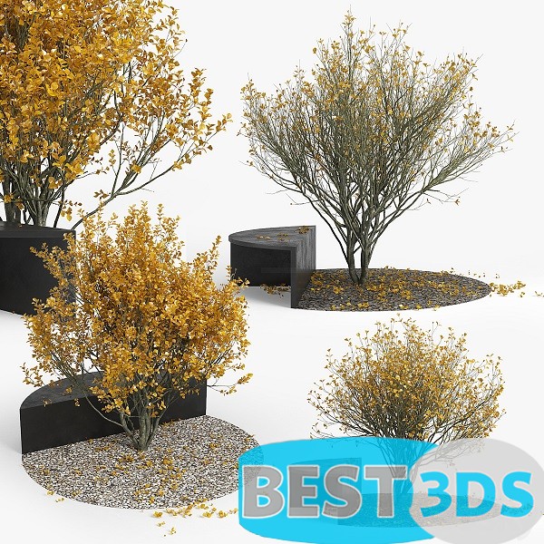 Modèle 3D de Autumn