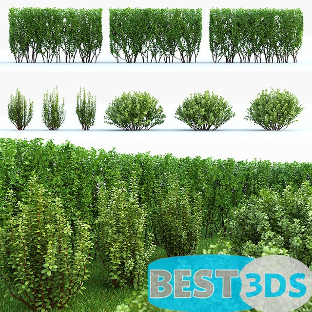 Modèle 3D de Barbaris Tunberga set N°2