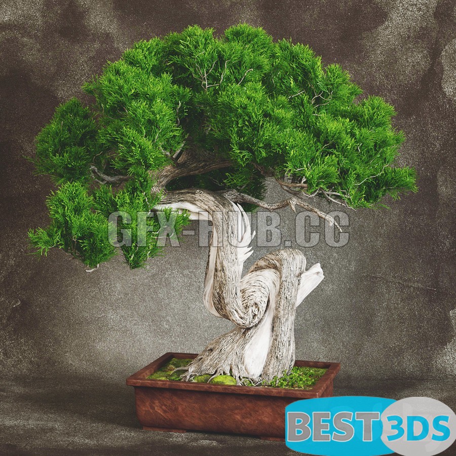 Bonsaï décoratif 2