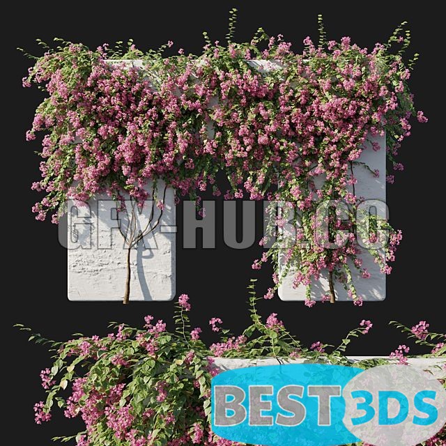 Modèle 3D de Arch with roses