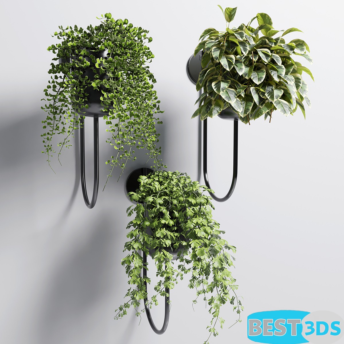 Modèle 3D de Collection Indoor plant 101 vase metal stand wall plant