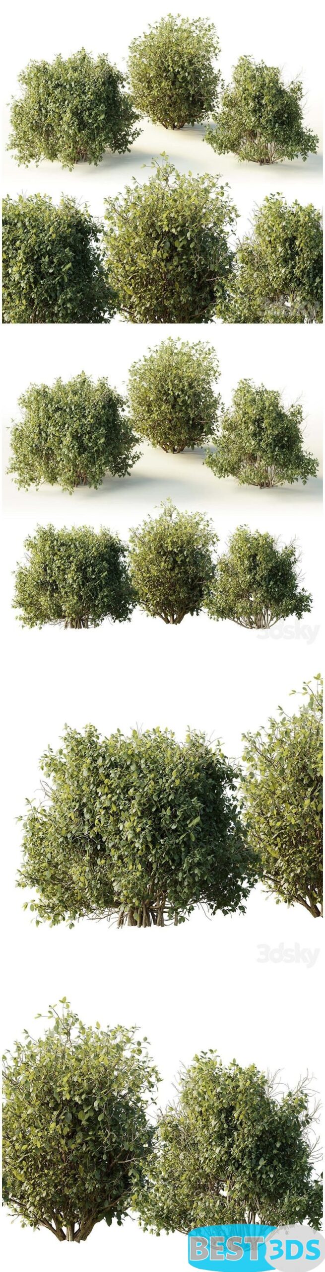 Pack model 3D- Buisson – Image 54