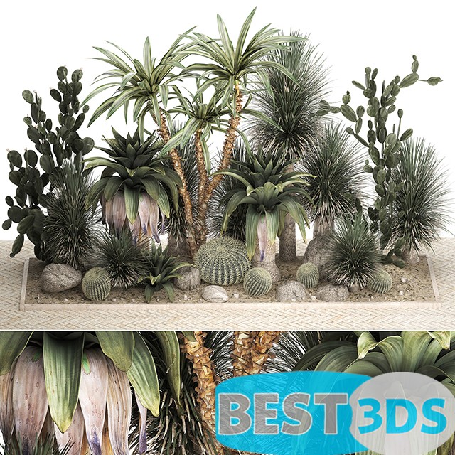 Modèle 3D de Collection of desert plants for landscape design 1108