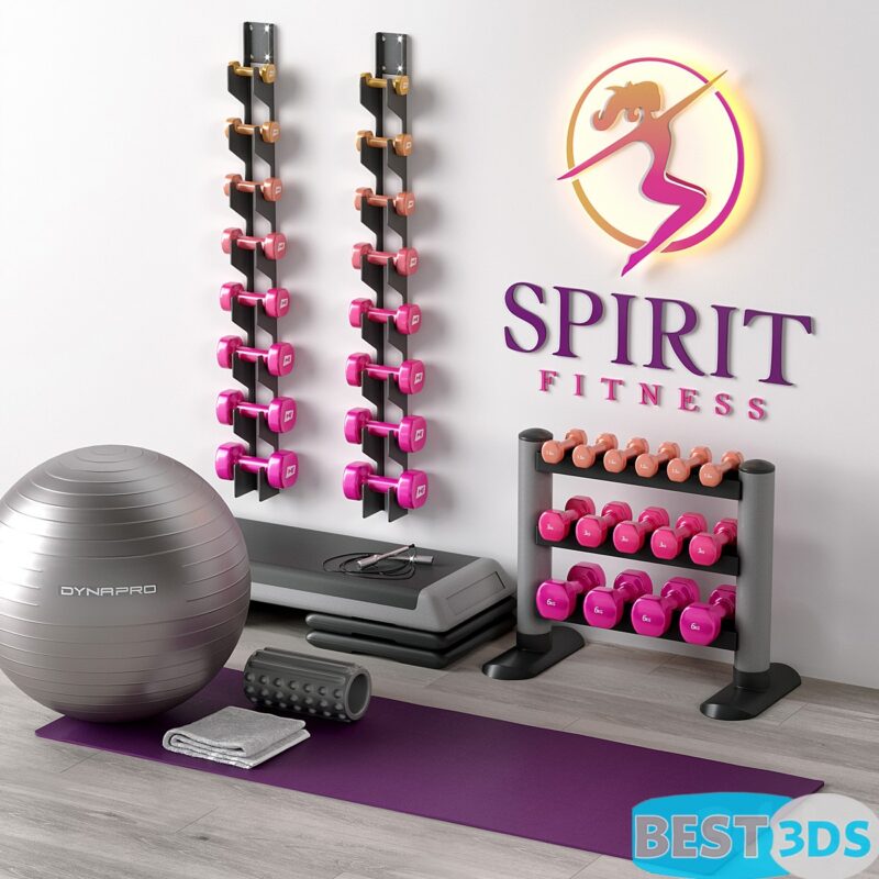 Ensemble fitness Spirit