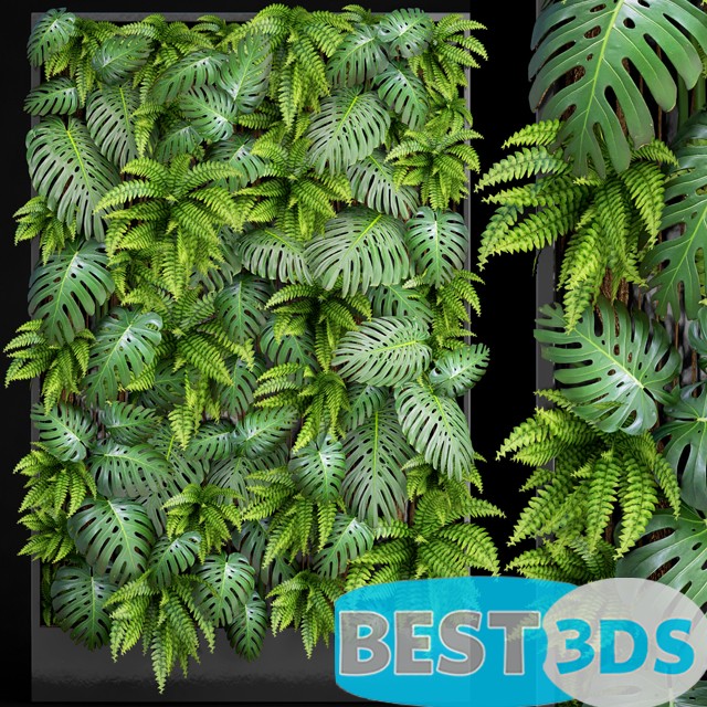 Modèle 3D de Mur Végétale