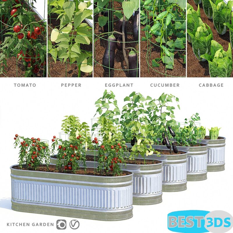Modèle 3D de Garden Kitchen garden