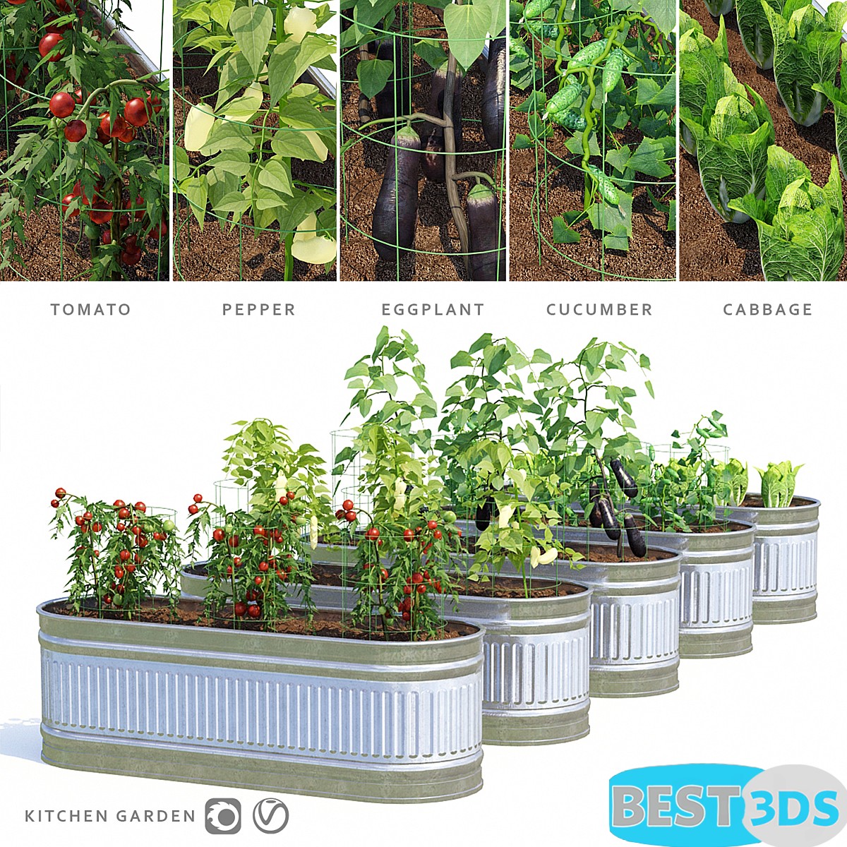 Pack model 3D- Buisson – Image 47