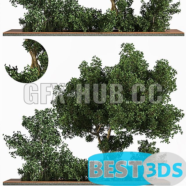 Pack model 3D- Buisson – Image 45