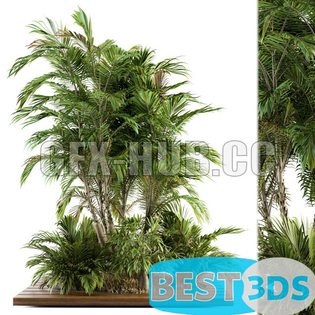 Pack model 3D- Buisson – Image 44