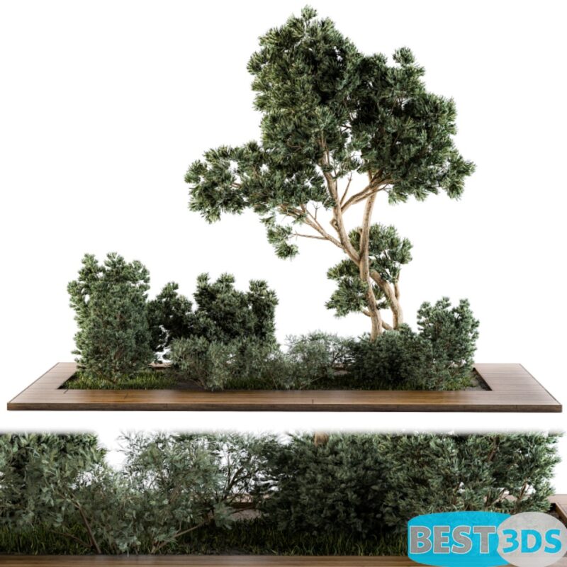 Modèle 3D de Garden set bush and Tree – Garden Set 06