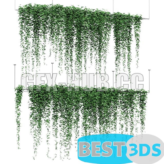 Modèle 3D de Ivy Hanging from the Ceiling 2 Models
