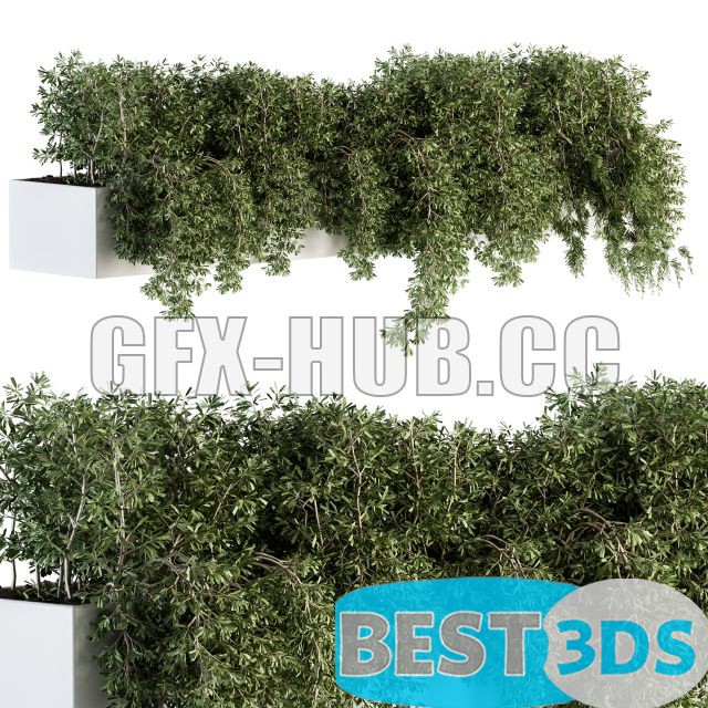 Pack model 3D- Végétations Murale – Image 58