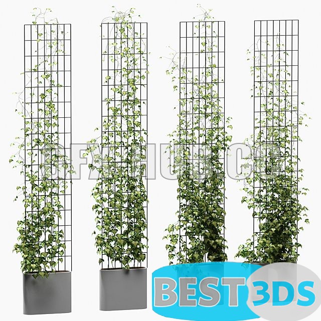 Modèle 3D de Ivy on the Trellis 4 Models