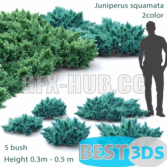 Pack model 3D- Buisson – Image 41