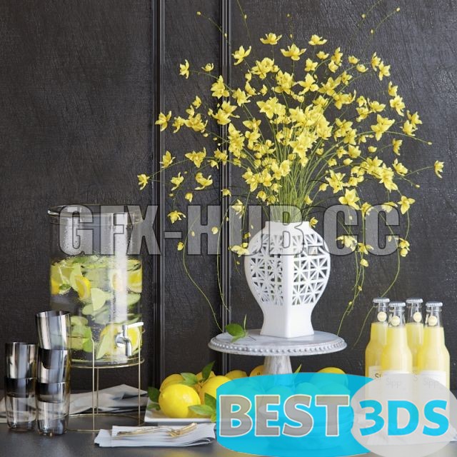 Set décoratif cuisine avec citrons
