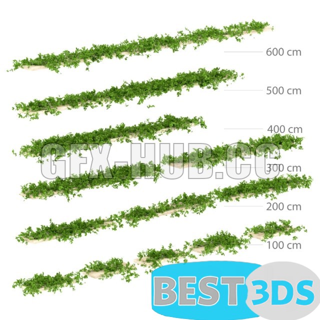 Modèle 3D de Leaves for shelves. 13 types