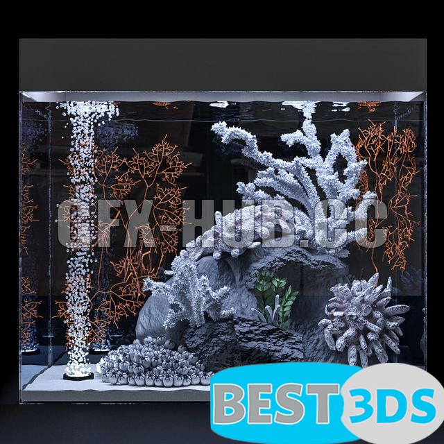 Modèle 3D de Marine Aquarium 1