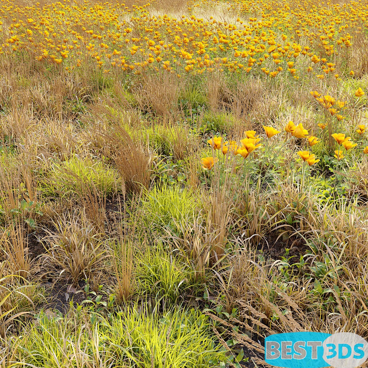 Pack model 3D- Buisson – Image 38
