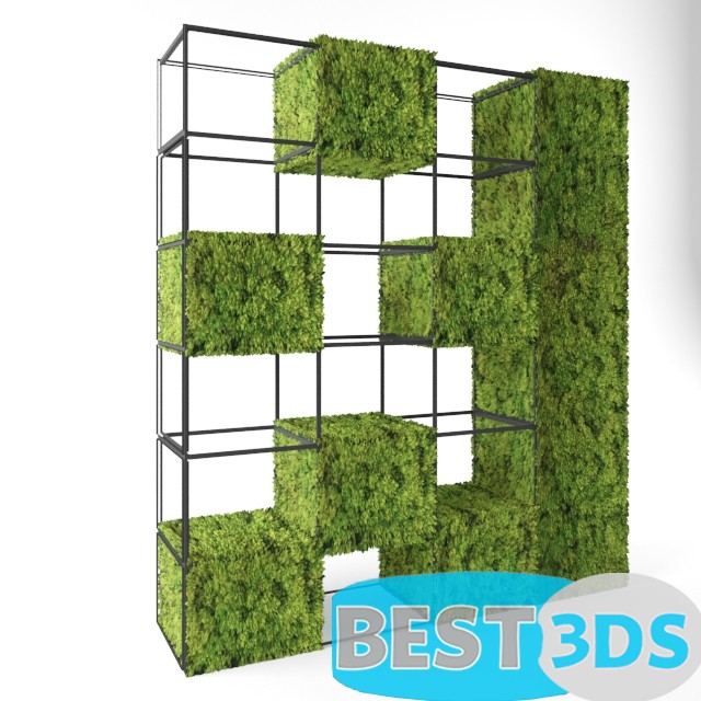 Modèle 3D de Moss shelves