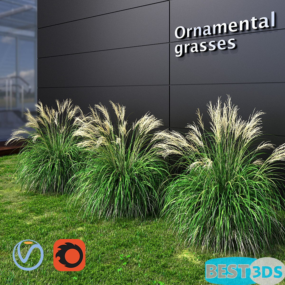 Pack model 3D- Buisson – Image 34