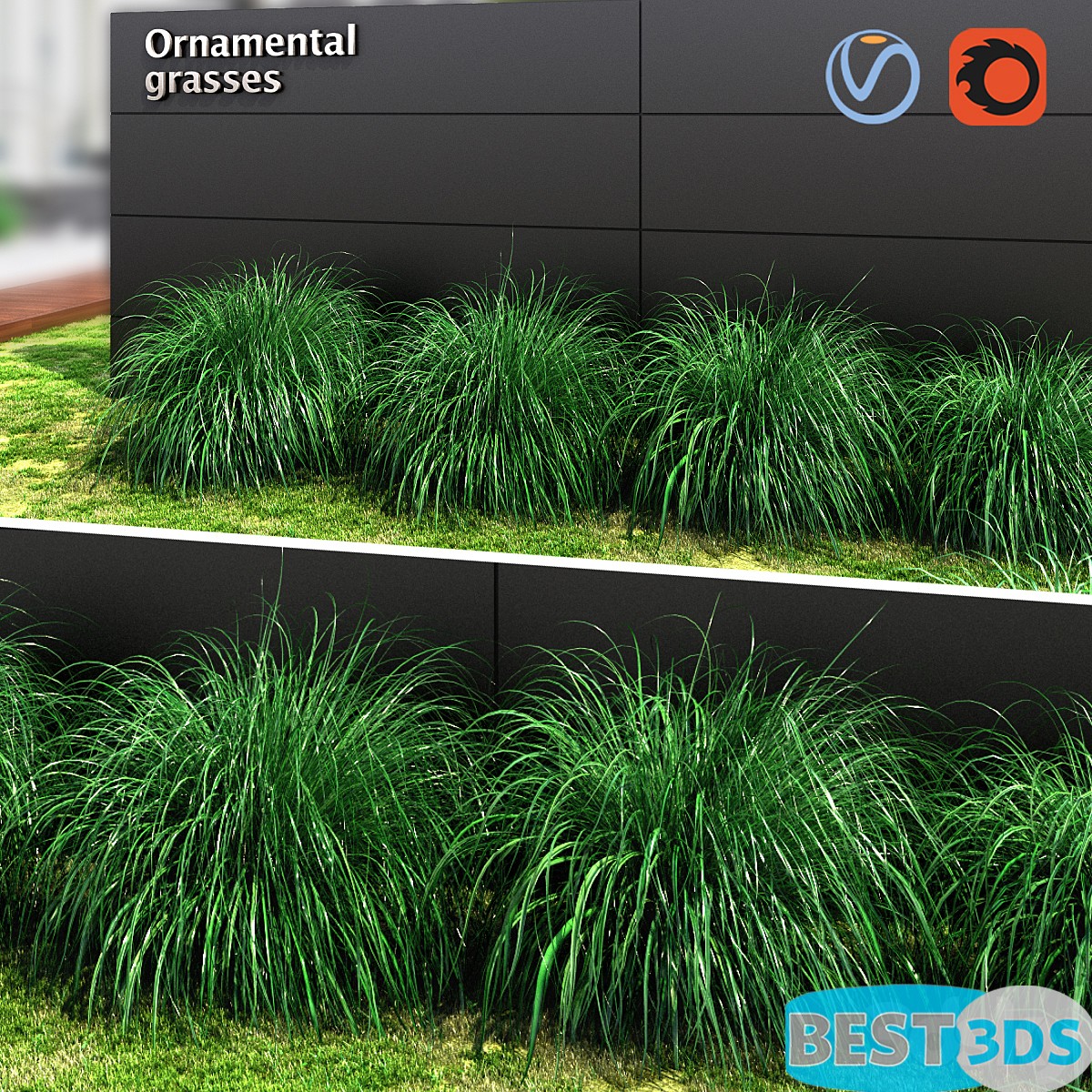 Pack model 3D- Buisson – Image 35