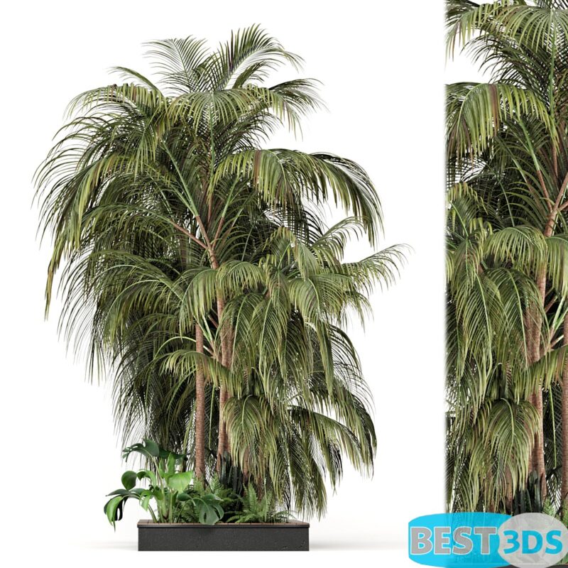 Modèle 3D de Outdoor Garden set bush and Tree – Garden Set 126