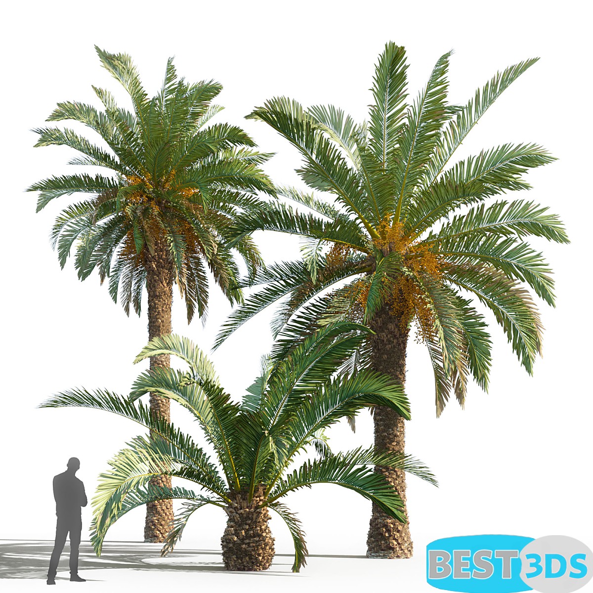 Pack model 3D-Arbres – Image 41