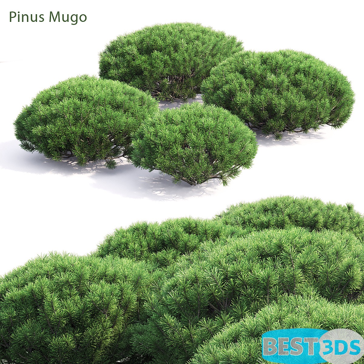 Pack model 3D- Buisson – Image 28