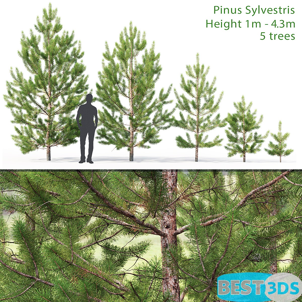 Pack model 3D-Arbres – Image 34