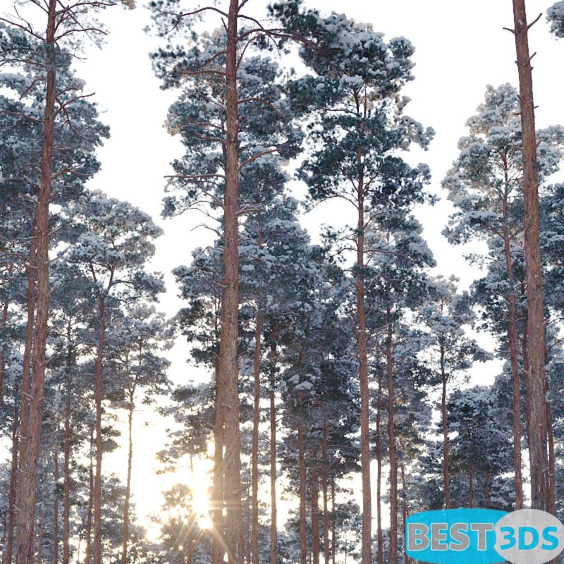 Pack model 3D-Arbres