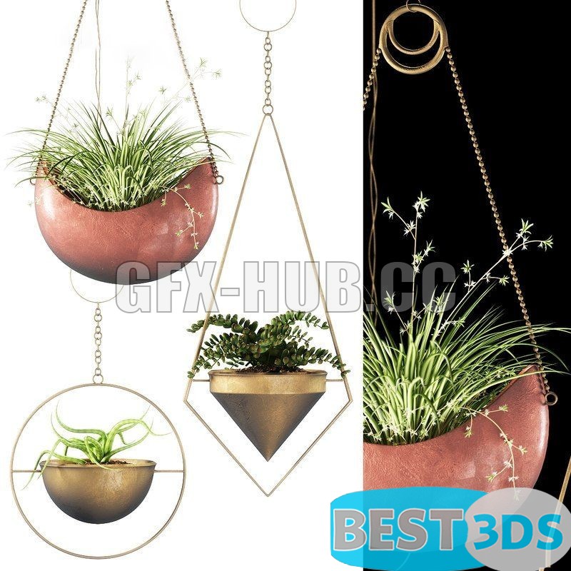 Modèle 3D de Plants 143