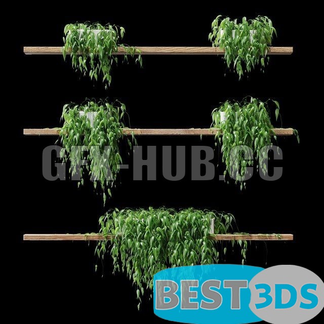 Modèle 3D de Potted plants on the shelves v2
