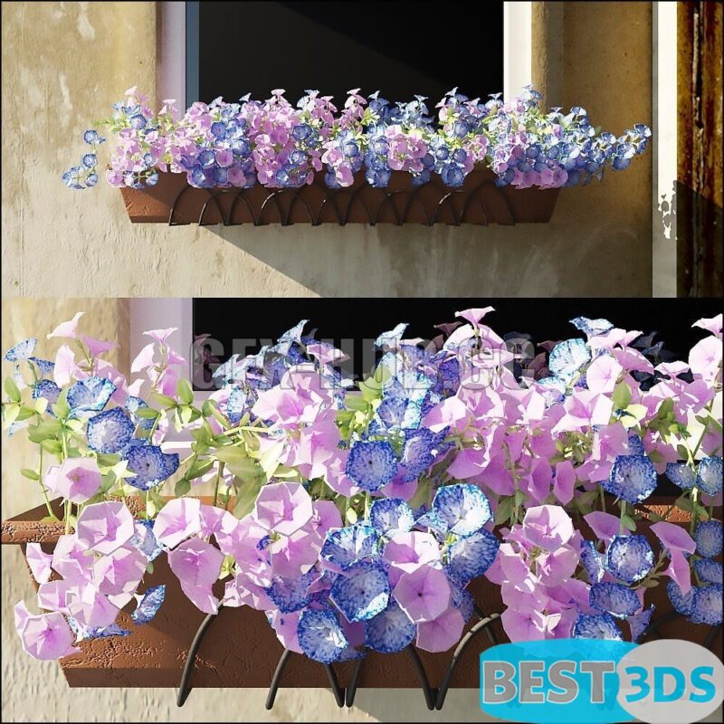 Modèle 3D de Queen of summer 02