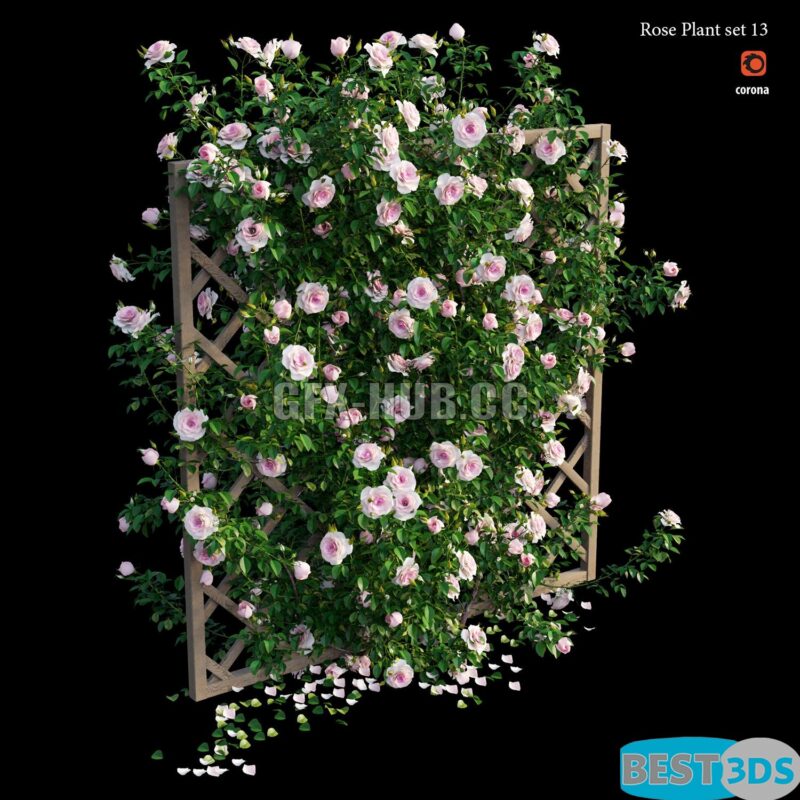 Modèle 3D de Rose Plant Set 13
