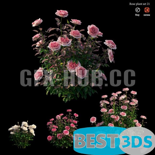 Pack model 3D- Buisson – Image 19