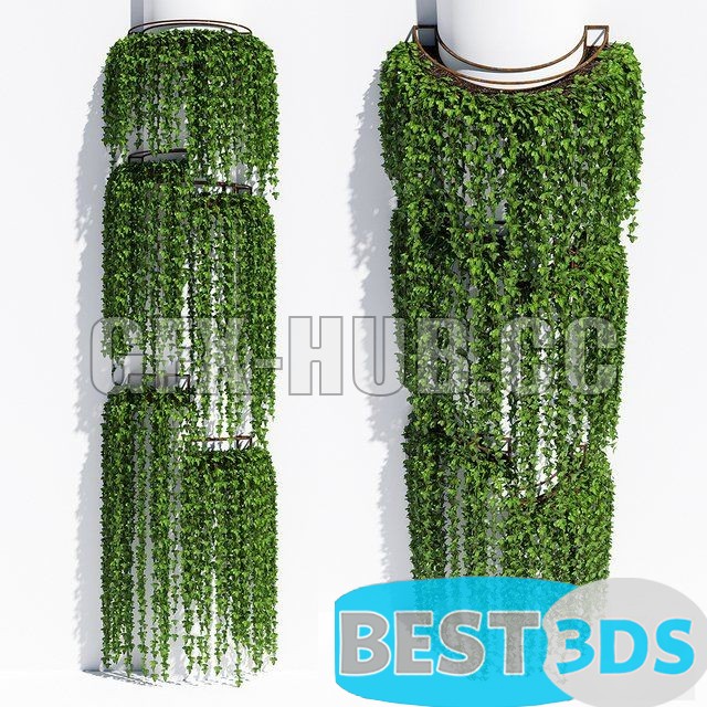 Modèle 3D de Round box ivy