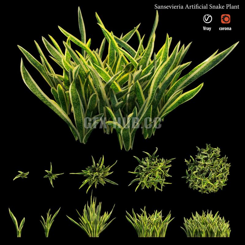 Collections herbes