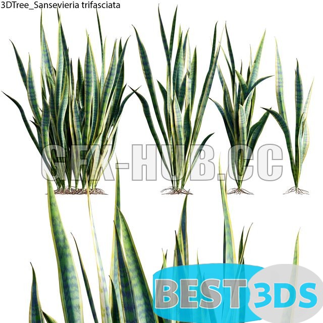 Pack model 3D- Buisson – Image 18