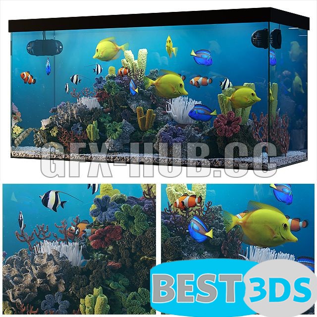 Modèle 3D de Seawater Aquarium