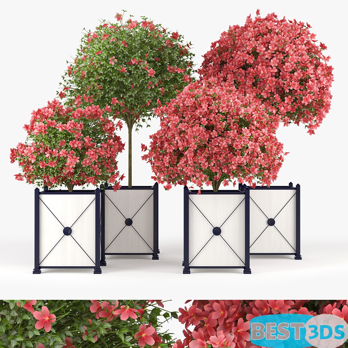 Pack model 3D-Arbres – Image 29