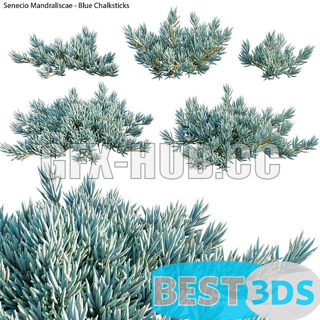 Pack model 3D- Buisson – Image 16