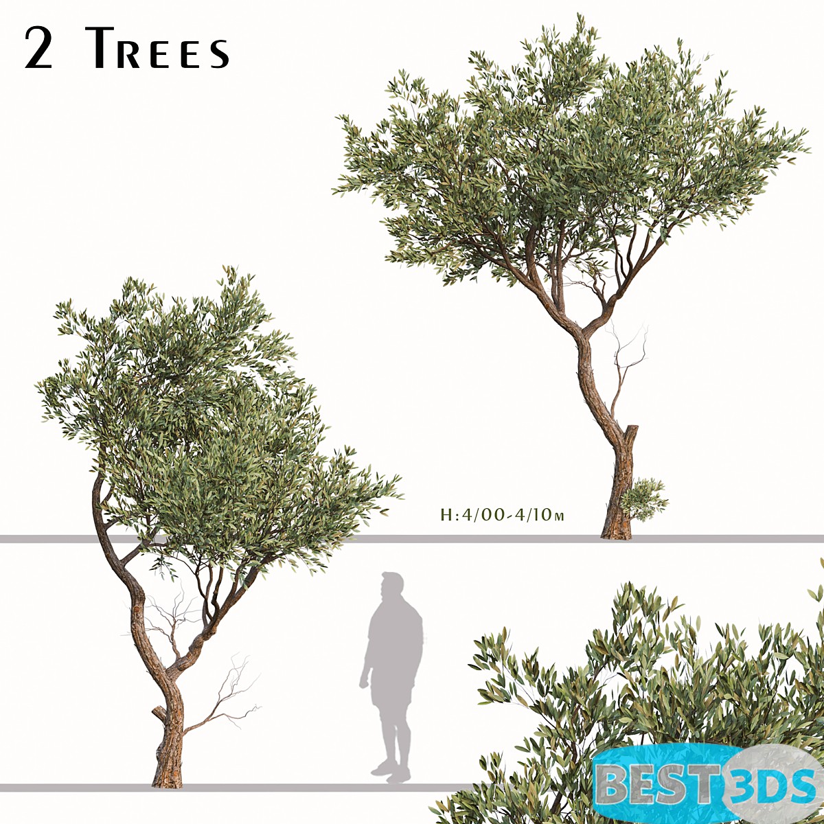 Pack model 3D-Arbres – Image 25