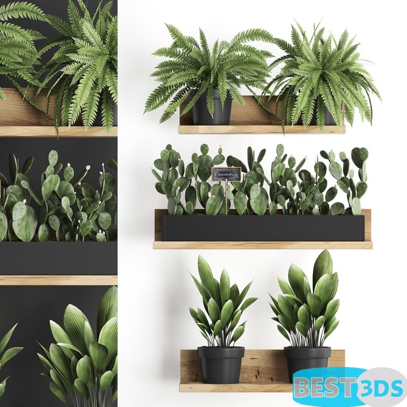 Modèle 3D de Shelf with flowers Plant 398