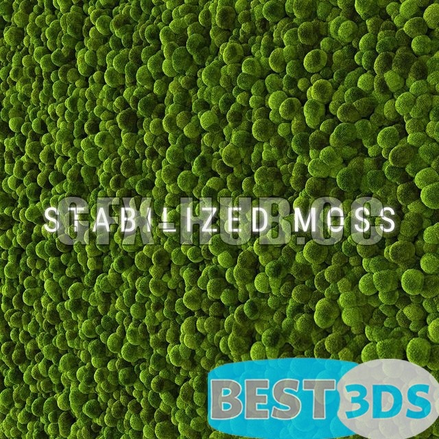 Modèle 3D de Stabilized Moss, Panel