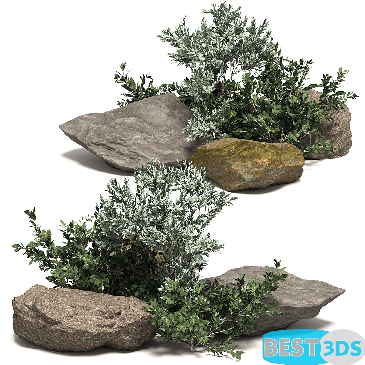 Pack model 3D- Buisson – Image 15